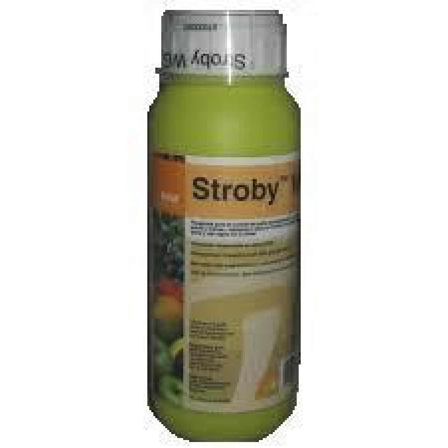 BASF STROBY WG AV 0018 - 200 GR BASF STROBY WG AV 0018 - 200 GR