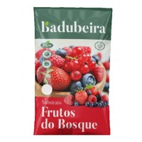 SUBSTRATO PARA FRUTOS DO BOSQUE BIO -  BIG BAG  2.3M3