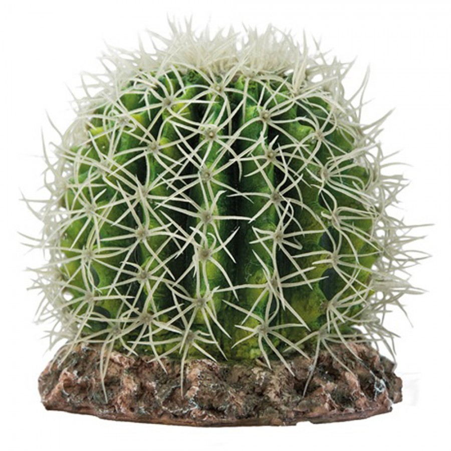DECORAÇÃO PARA TERRÁRIO - CACTUS SONORA