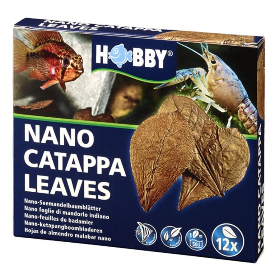 FOLHAS DE CATAPPA NANO (12 UNIDADES) FOLHAS DE CATAPPA NANO (12 UNIDADES)