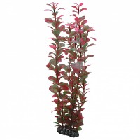 DECORAÇÃO PARA AQUÁRIO -  PLANTAS SET 3 (KIT 6 PLANTAS)