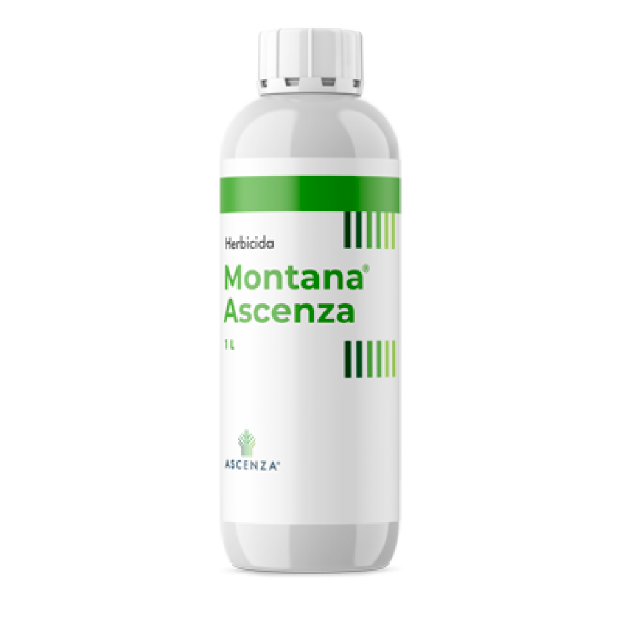 ASCENZA MONTANA AV 0046  - 1 LT