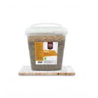 DELI NATURE HOBBYLINE CHIX MEALWORMS (TENEBRIOS) - 1 KG