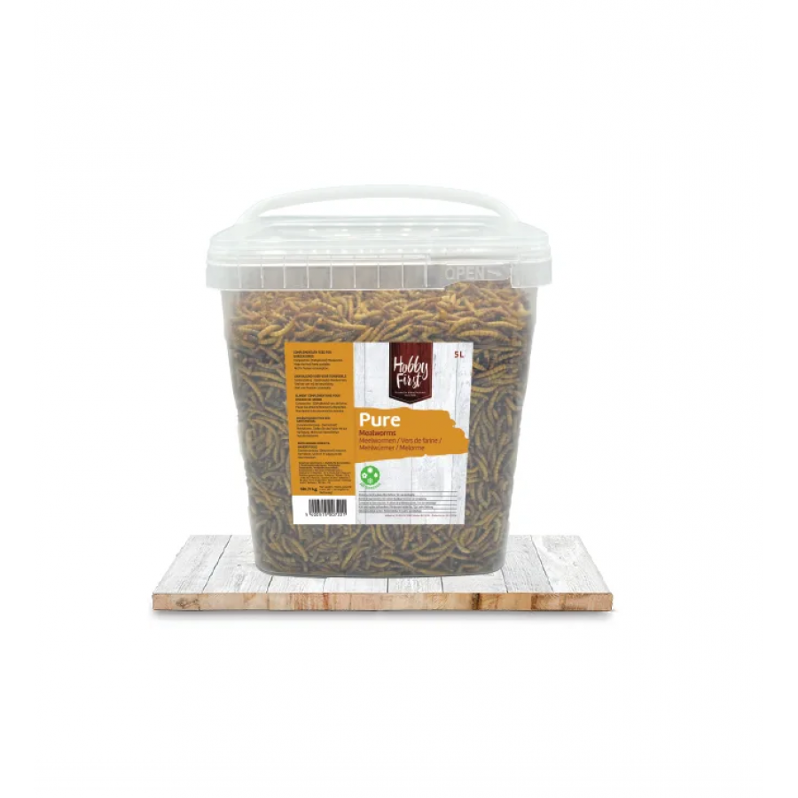 DELI NATURE HOBBYLINE CHIX MEALWORMS (TENEBRIOS) - 1 KG