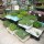 S.PLANTA ALFACE FRISADA- UNIDADE