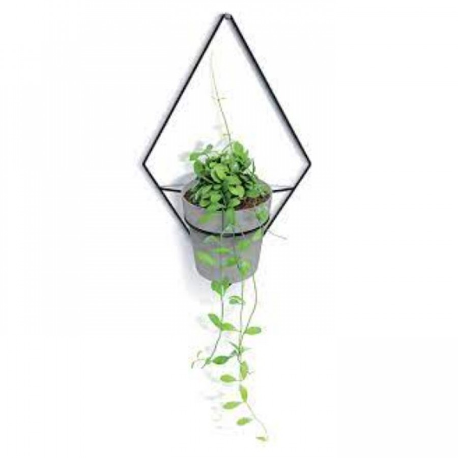 Suporte Metálico de Parede para Plantas – Duplo Triângulo Suporte Metálico de Parede para Plantas – Duplo Triângulo