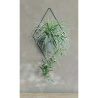 Suporte Metálico de Parede para Plantas – Duplo Triângulo Suporte Metálico de Parede para Plantas – Duplo Triângulo