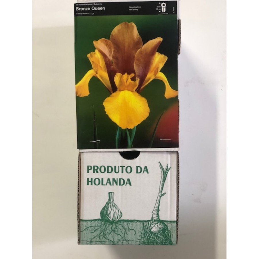 S.BOLBO DC IRIS LIRETES BRONZE -CAIXA 150 UNIDADES S.BOLBO DC IRIS LIRETES BRONZE -CAIXA 150 UNIDADES