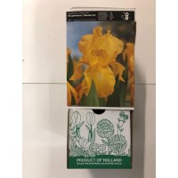 S.BOLBO GR IRIS GERMANICOS - CAIXA 20 UNIDADES S.BOLBO GR IRIS GERMANICOS - CAIXA 20 UNIDADES