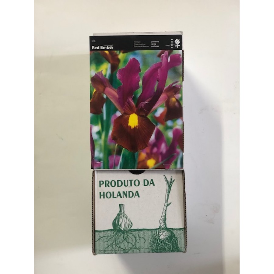 S.BOLBO DC IRIS LIRETES RED EMBER -CAIXA 150 UNIDADES