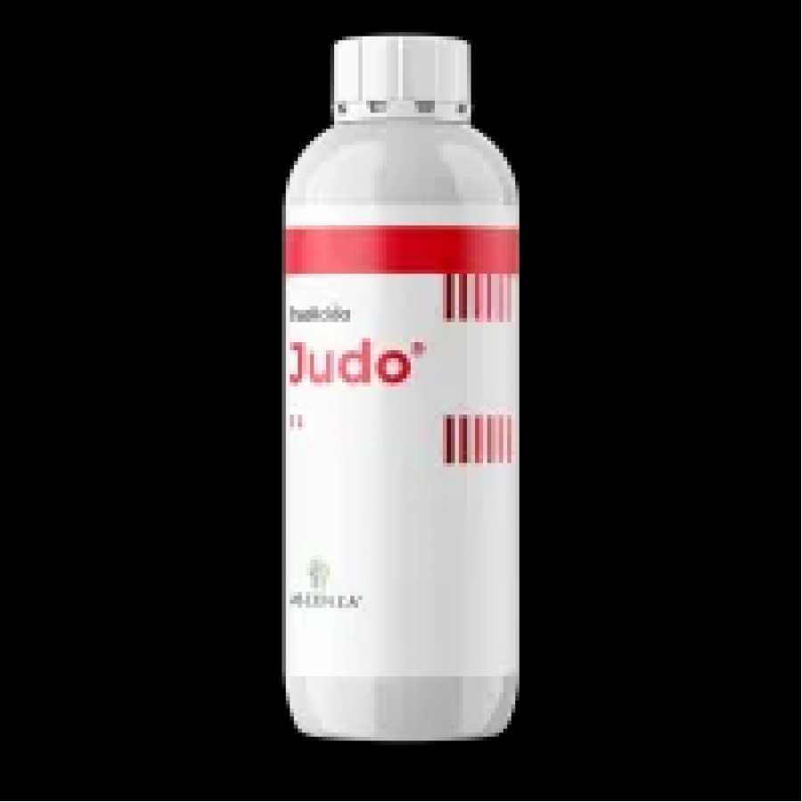 ASCENZA JUDO AV 0175  -250ML