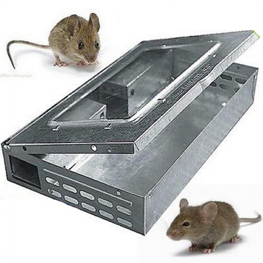 RATOEIRA RATOS MULTI-CAPTURA