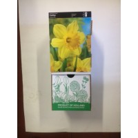 S.BOLBO DC NARCISOS SINGELOS - CAIXA 30 UNIDADES S.BOLBO DC NARCISOS SINGELOS - CAIXA 30 UNIDADES