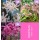 S.BOLBO GR NERINE MIX - CAIXA 100 UNIDADES