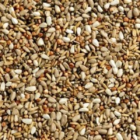 NATURAL POMBOS FINESSE WIZARD (CONCURSOS - ENERGÉTICA) - 20 KG NATURAL POMBOS FINESSE WIZARD (CONCURSOS - ENERGÉTICA) - 20 KG