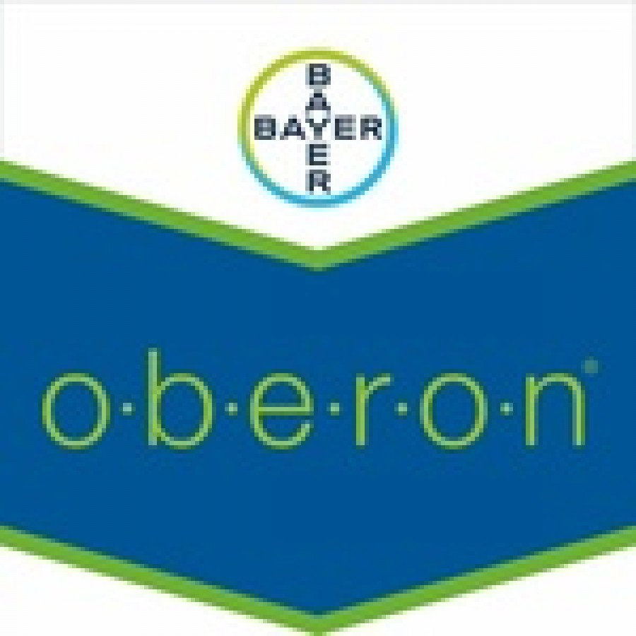 BAYER OBERON AV 1239 - 500 ML