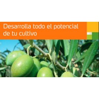 ADUBO YARA VITA OLIVO 10%N; 6,7%MgO; 3,8%Fe; 4,3%Mn; 2%B; 2%Zn  -5KG
