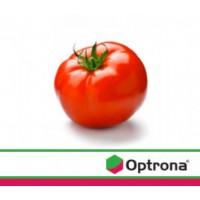 SYNGENTA OPTRONA AV 1464 - 1 LT SYNGENTA OPTRONA AV 1464 - 1 LT