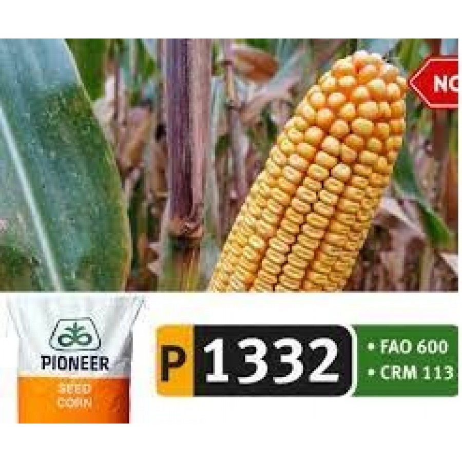 S.MILHO HIBRIDO PIONEER P1332 IST.50MK S.MILHO HIBRIDO PIONEER P1332 IST.50MK