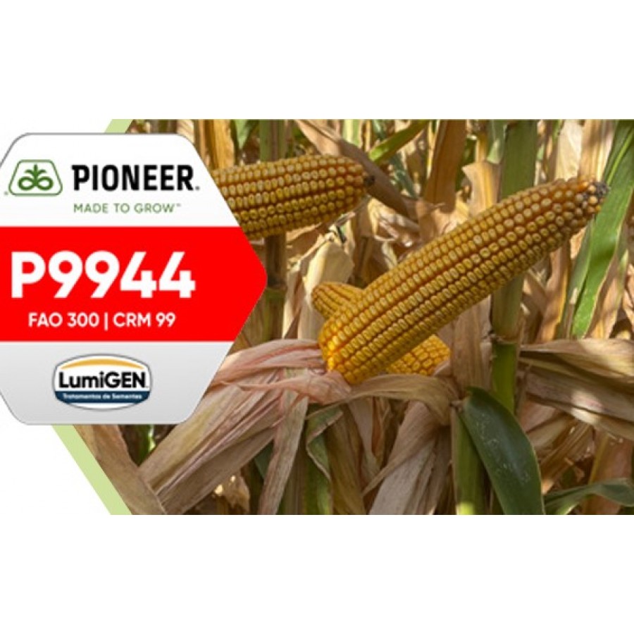 S.MILHO HIBRIDO PIONEER P9944 - 50 MK S.MILHO HIBRIDO PIONEER P9944 - 50 MK