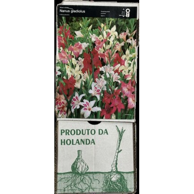 S.BOLBO GR PALMAS STA RITA - CAIXA 150 UNIDADES