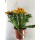 VASO DE FLOR GAZANIA