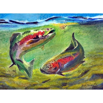 PINTURA PESCA Á MOSCA