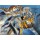 PINTURA COR EM MOVIMENTO 2