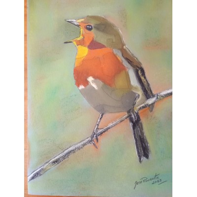 PINTURA PISCO DE PEITO RUIVO
