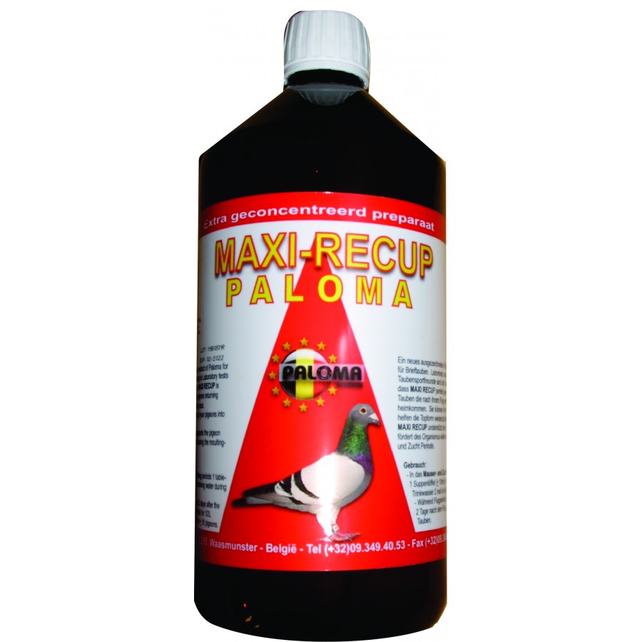 PALOMA MAXI RECUP PALOMA C/ELECTROLITOS - 1 LT