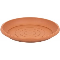 PRATO P/VASO TERRA TERRACOTA -25CM PRATO P/VASO TERRA TERRACOTA -25CM