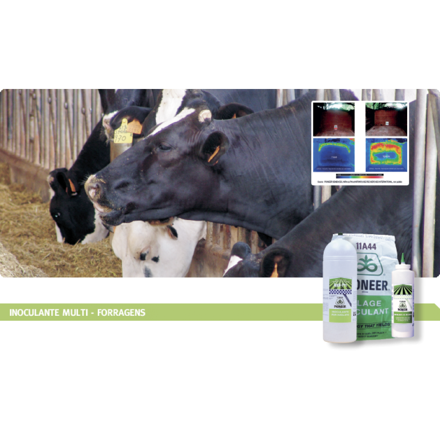 PIONEER INOCULANTE PR11A44 - 250 GR