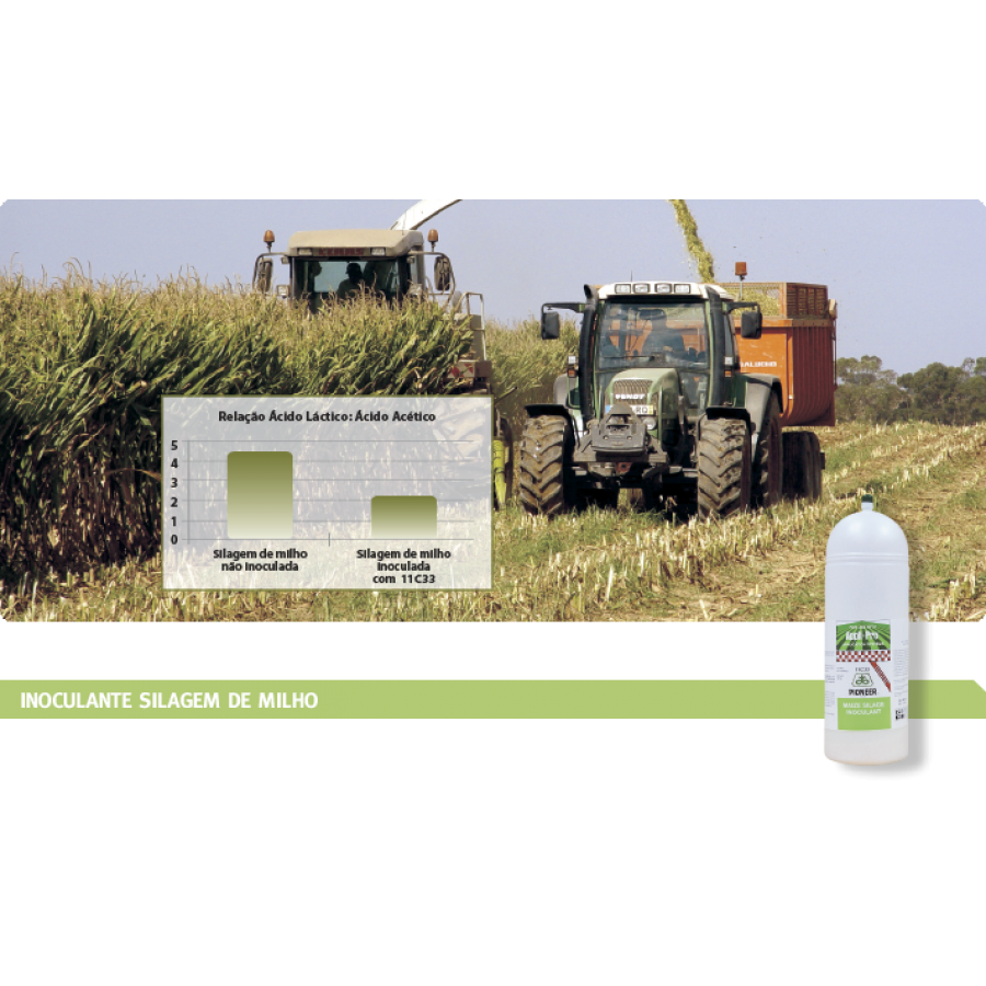 PIONEER INOCULANTE PR11C33 - 50 GR