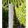 POSTE VINHA METALICO 2.20MT X 1.50MM