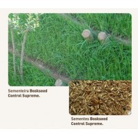 S.PRADO SEQUEIRO BOSKGREEN CONTROL SUPREME- SACO 10 KG S.PRADO SEQUEIRO BOSKGREEN CONTROL SUPREME- SACO 10 KG