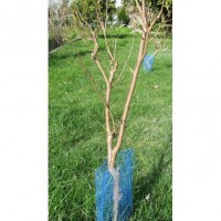 REDE PROTECTOR DE ARVORES AZUL 0,50CM- Ø10CM