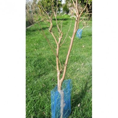 REDE PROTECTOR DE ARVORES AZUL 0,50CM- Ø10CM
