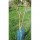 REDE PROTECTOR DE ARVORES AZUL 0,50CM- Ø10CM