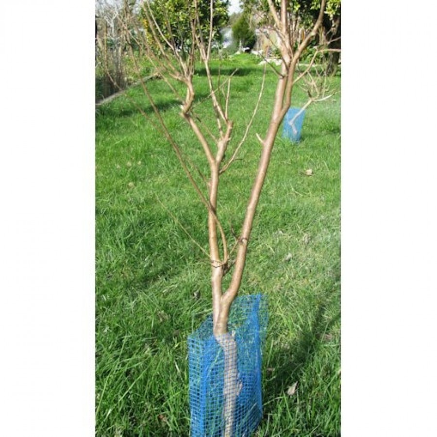 REDE PROTECTOR DE ARVORES AZUL 0,50CM- Ø10CM
