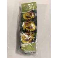 S.ROSEIRA GRANDIFLORA VARIADA - CORES RARAS