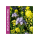 MISTURA FAUNÍSTICA MELIPLUS PRIMAVERA  -SC 10KG