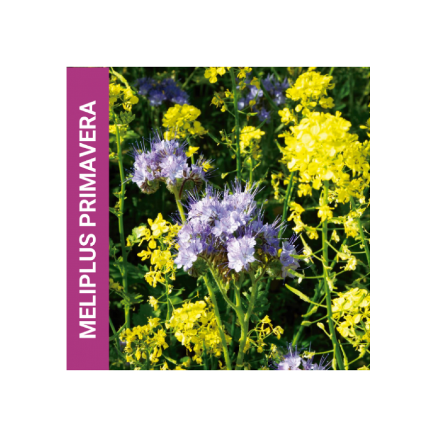 MISTURA FAUNÍSTICA MELIPLUS PRIMAVERA -SC 10KG MISTURA FAUNÍSTICA MELIPLUS PRIMAVERA -SC 10KG