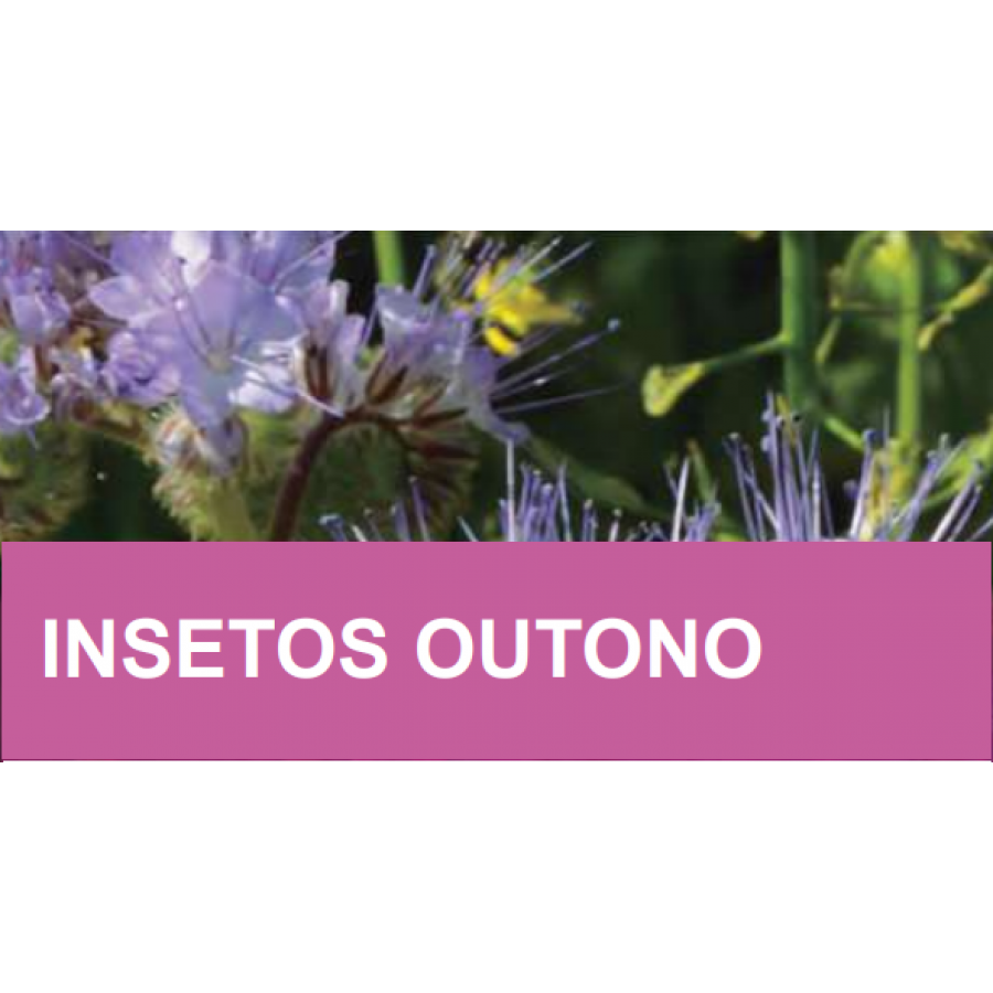 MISTURA FAUNÍSTICA INSETOS OUTONO -SC 10KG MISTURA FAUNÍSTICA INSETOS OUTONO -SC 10KG