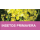 MISTURA FAUNÍSTICA INSETOS PRIMAVERA  -SC 10KG