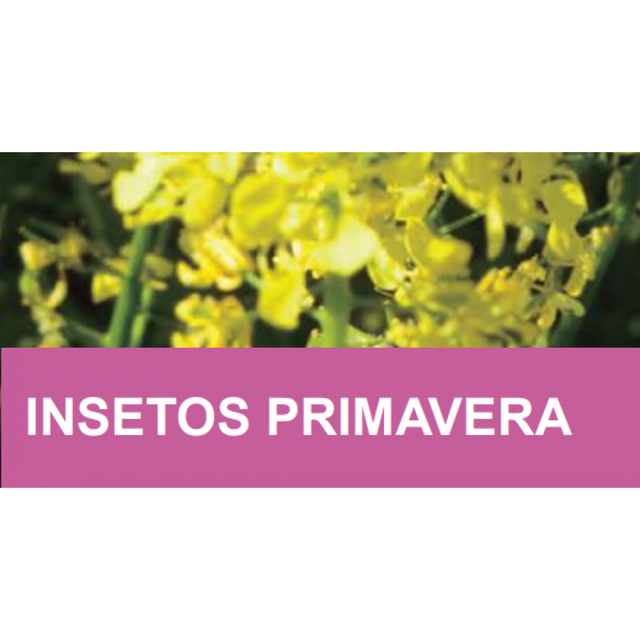 MISTURA FAUNÍSTICA INSETOS PRIMAVERA  -SC 10KG
