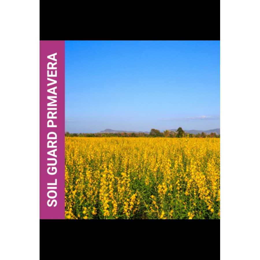 MISTURA DE PRADO MELHORANTE SOIL GUARD PRIMAVERA-SC 10KG
