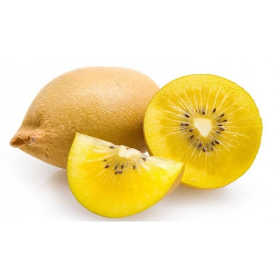S.ARVORE FRUTO -KIWI AMARELO -FEMEA     1 ANO