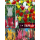 S.BOLBO GR TULIPAS LILY  - CAIXA 70 UNIDADES