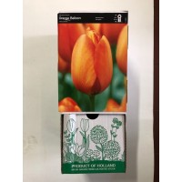 S.BOLBO GR TULIPAS SINGELA - CAIXA 70 UNIDADES S.BOLBO GR TULIPAS SINGELA - CAIXA 70 UNIDADES