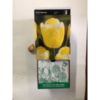 S.BOLBO TULIPAS - UNIDADE S.BOLBO TULIPAS - UNIDADE